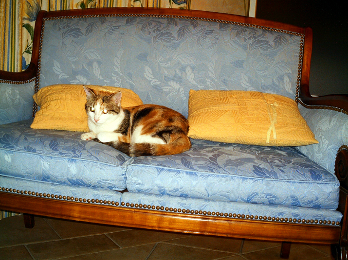 2004-12 noël 016.jpg